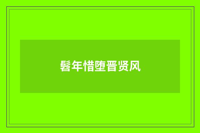髫年惜堕晋贤风