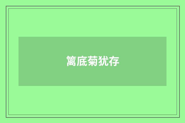 篱底菊犹存