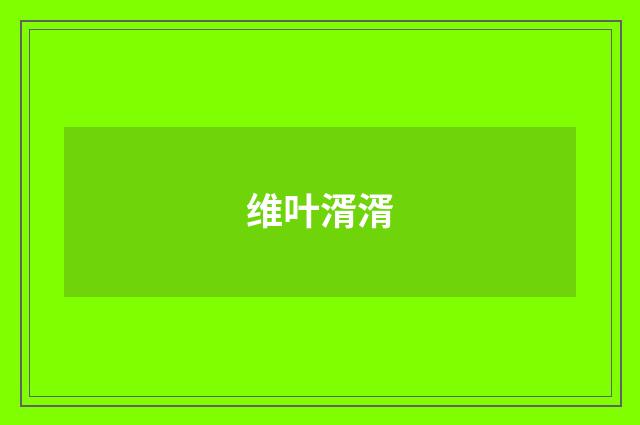 维叶湑湑