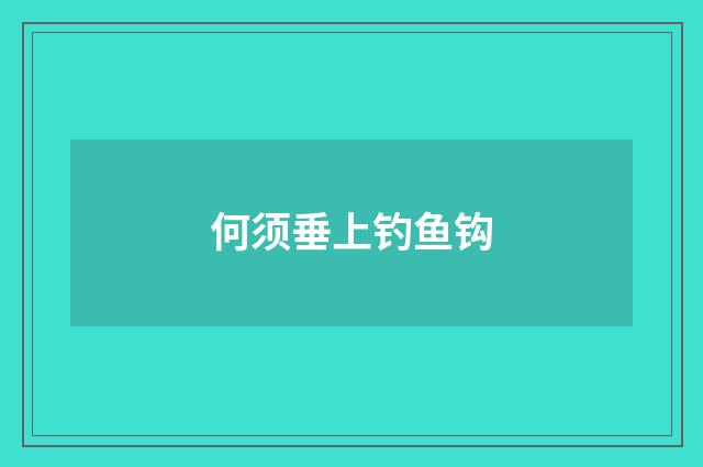 何须垂上钓鱼钩