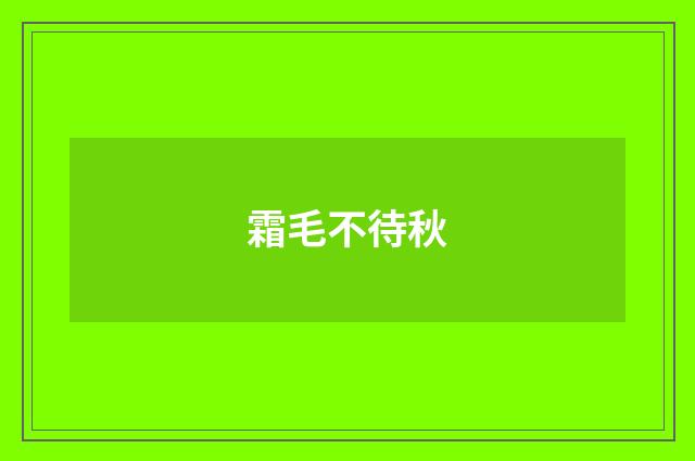 霜毛不待秋
