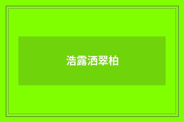 浩露洒翠柏