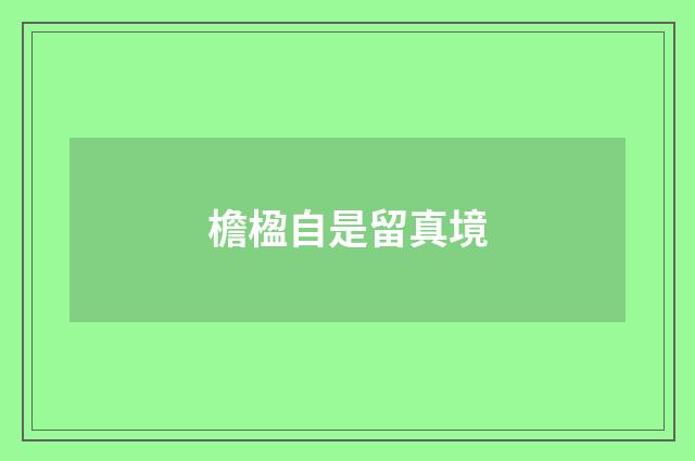 檐楹自是留真境