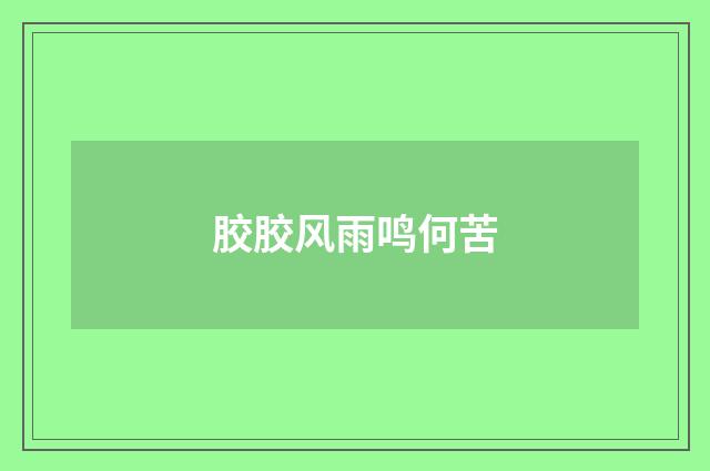 胶胶风雨鸣何苦