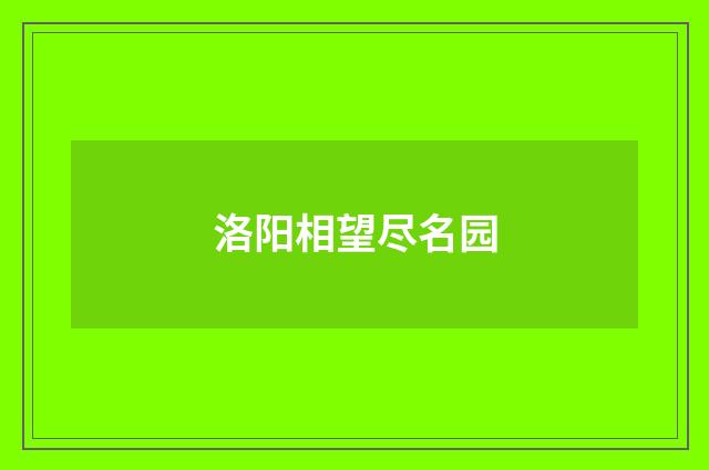洛阳相望尽名园