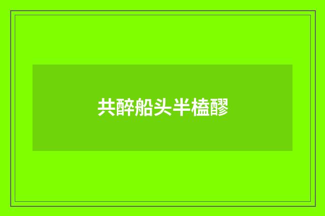 共醉船头半榼醪