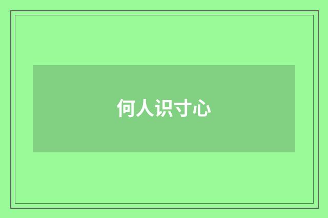 何人识寸心