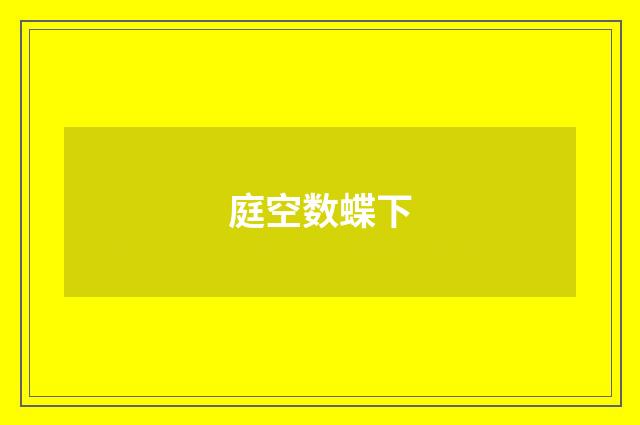 庭空数蝶下