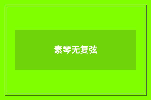 素琴无复弦