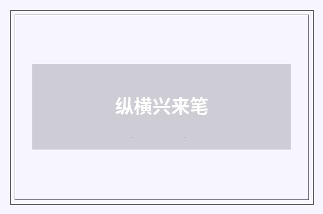 纵横兴来笔