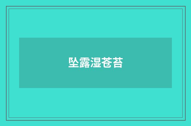 坠露湿苍苔