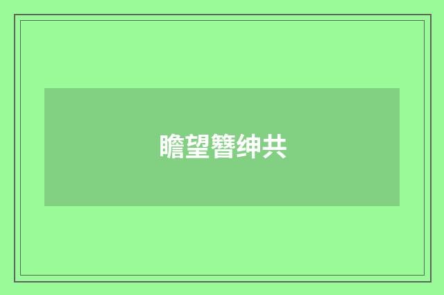瞻望簪绅共