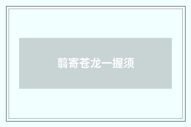 翦寄苍龙一握须