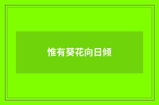 惟有葵花向日倾