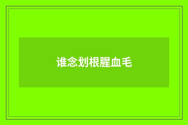 谁念划根腥血毛