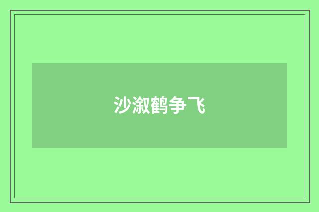 沙溆鹤争飞