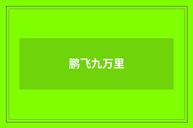 鹏飞九万里