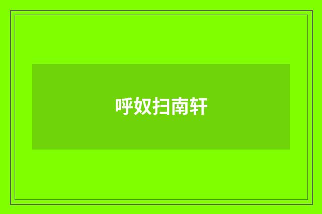 呼奴扫南轩