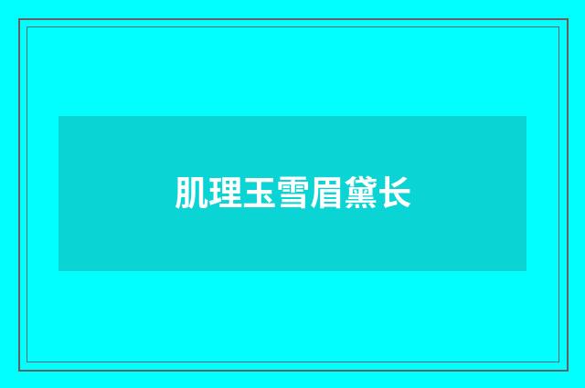 肌理玉雪眉黛长