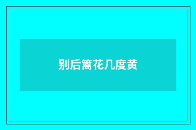 别后篱花几度黄