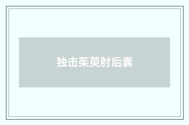 独击茱萸肘后囊