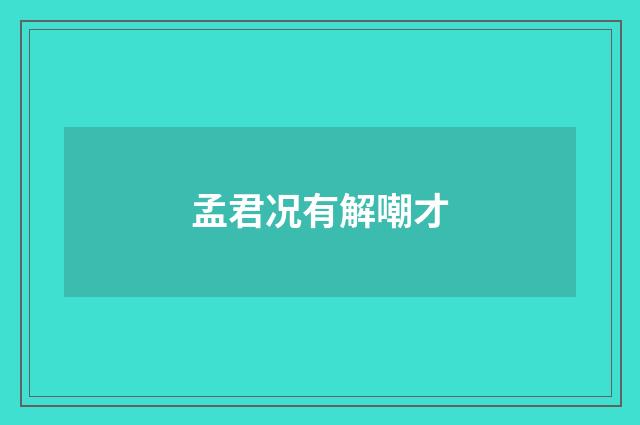孟君况有解嘲才