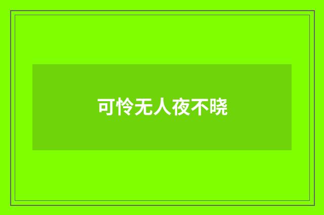 可怜无人夜不晓