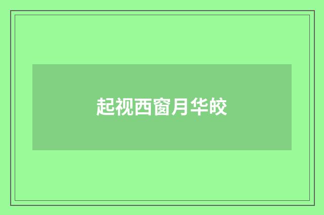 起视西窗月华皎