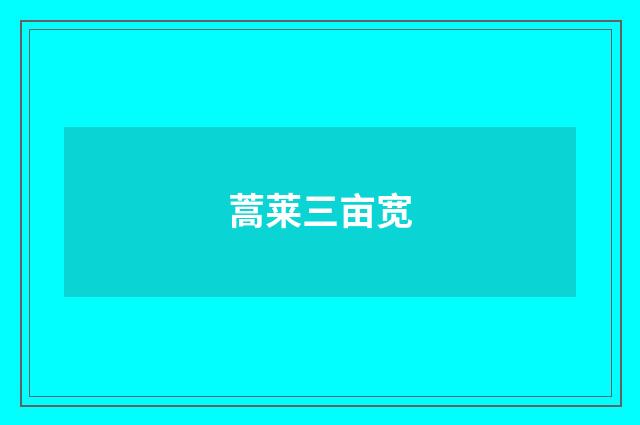 蒿莱三亩宽