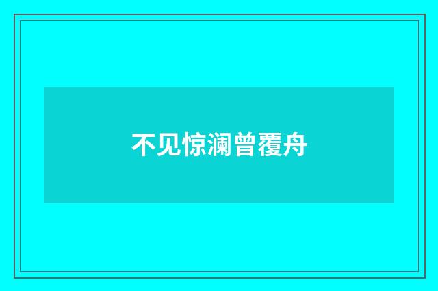 不见惊澜曾覆舟