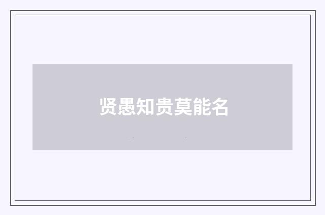 贤愚知贵莫能名