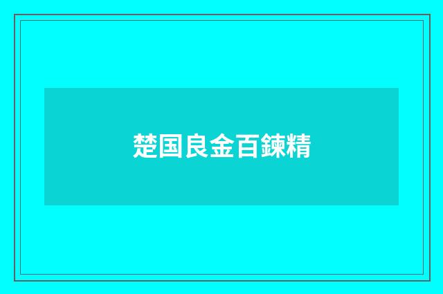 楚国良金百鍊精