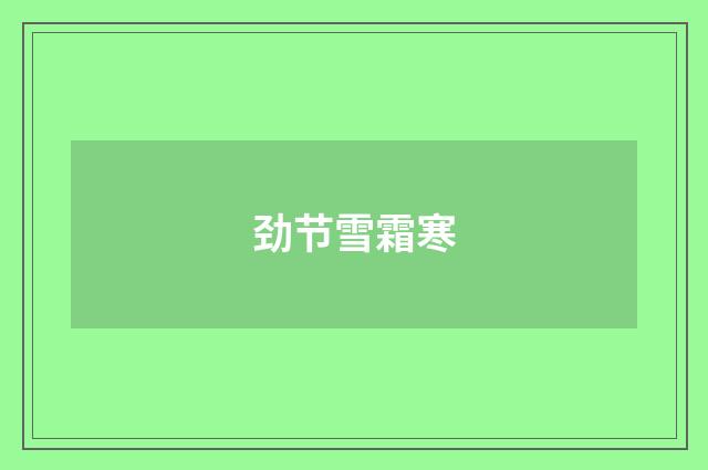 劲节雪霜寒