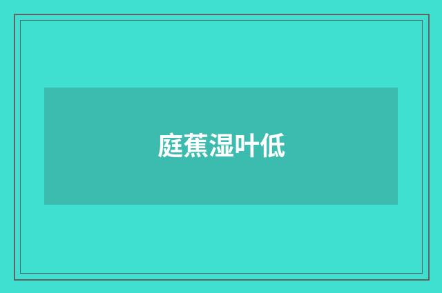 庭蕉湿叶低