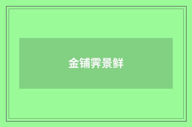 金铺霁景鲜