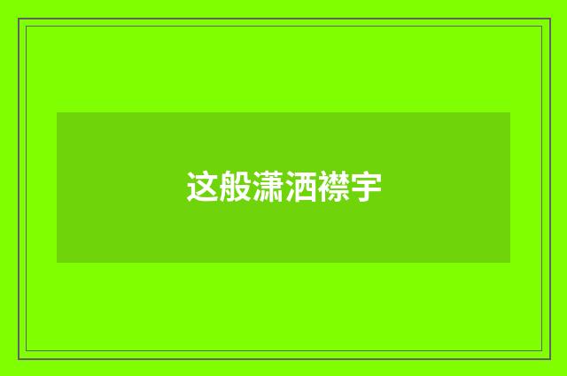 这般潇洒襟宇
