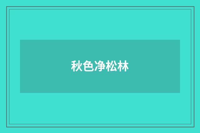 秋色净松林