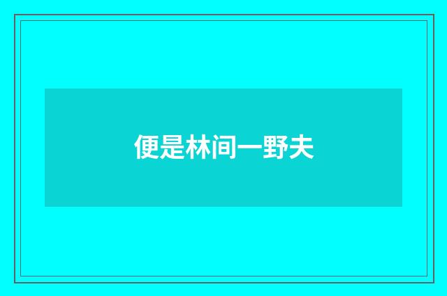 便是林间一野夫