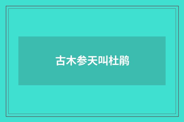 古木参天叫杜鹃