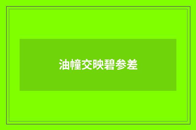 油幢交映碧参差