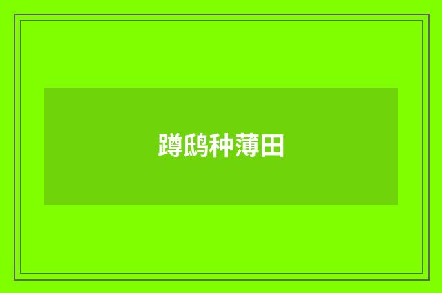 蹲鸱种薄田