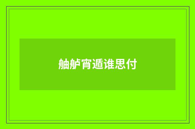 舳舻宵遁谁思付