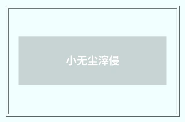 小无尘滓侵