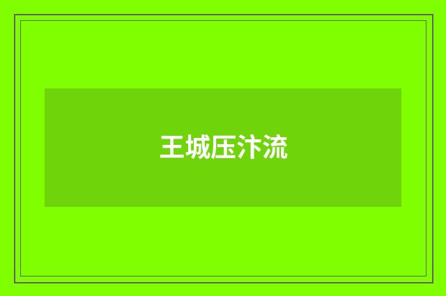 王城压汴流