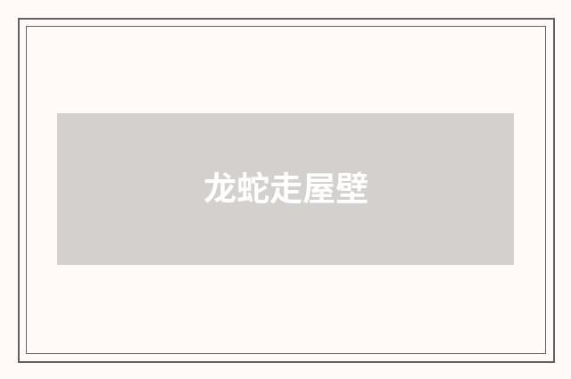 龙蛇走屋壁