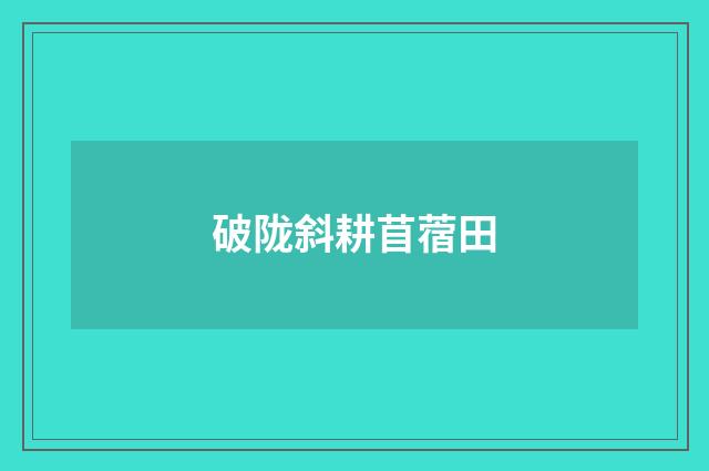 破陇斜耕苜蓿田