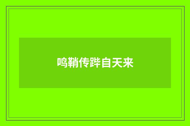 鸣鞘传跸自天来