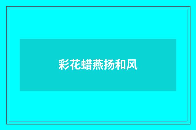 彩花蜡燕扬和风