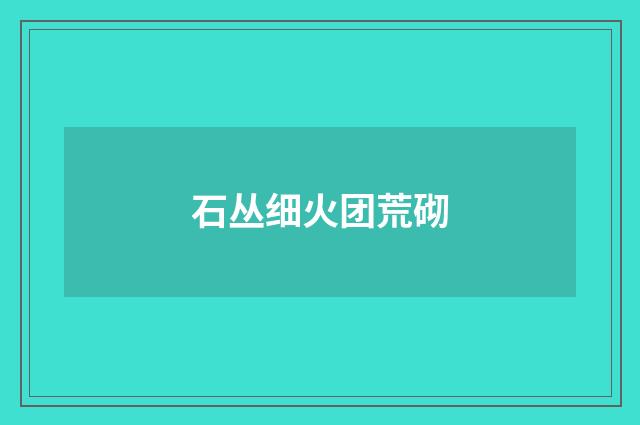 石丛细火团荒砌