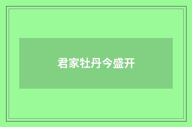 君家牡丹今盛开